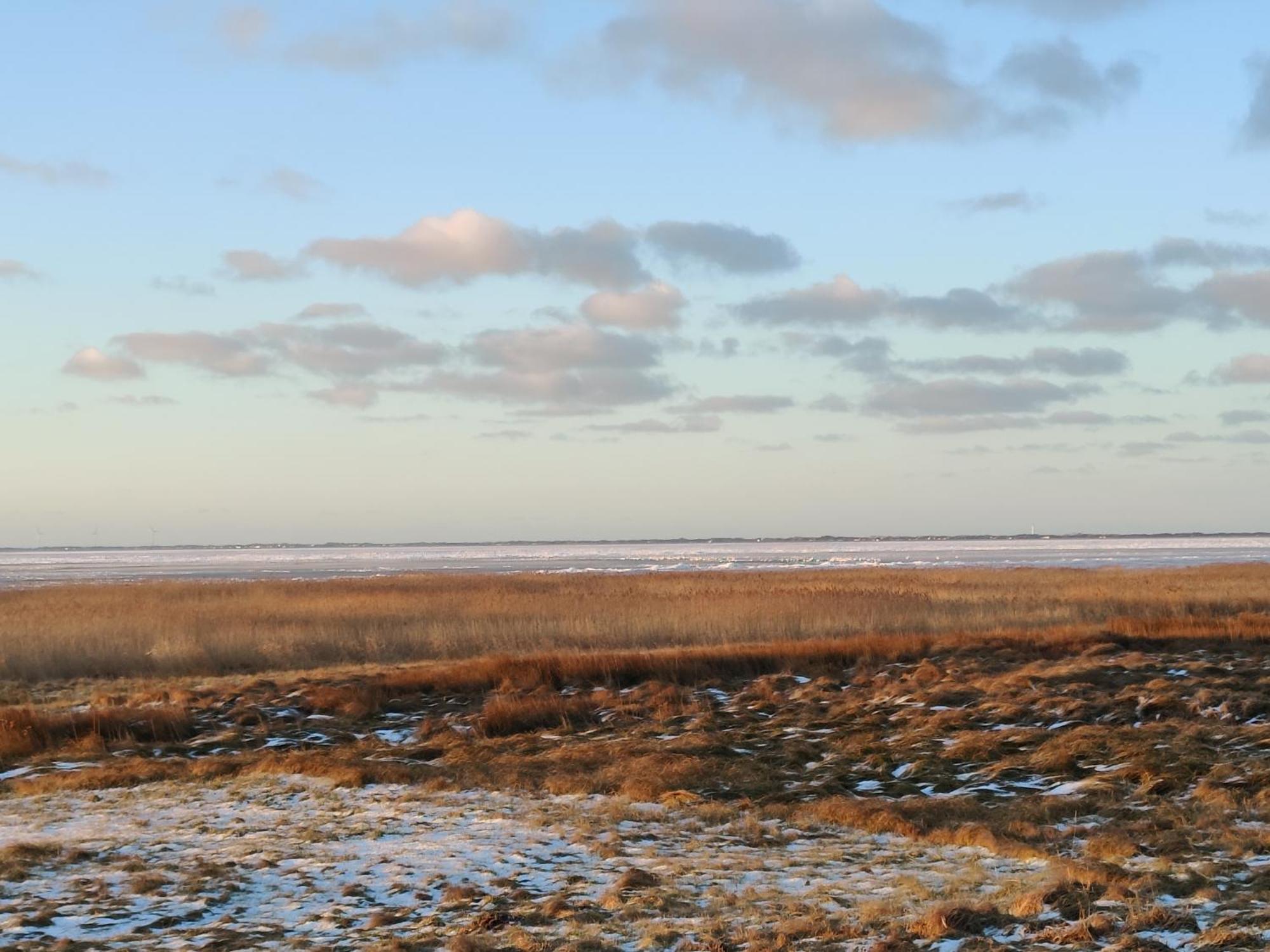Villa-Amby Ringkøbing Dış mekan fotoğraf